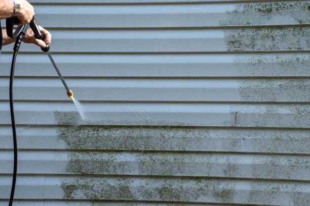 Best Demolition Debris Removal  in East Ithaca, NY